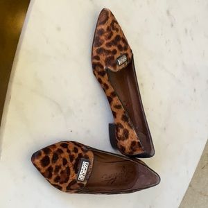 Brighton Eve leopard flats
